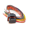 LINK ECU - A Loom