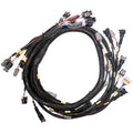 LINK ECU - Replacement Base Harness GM LS GEN3/4