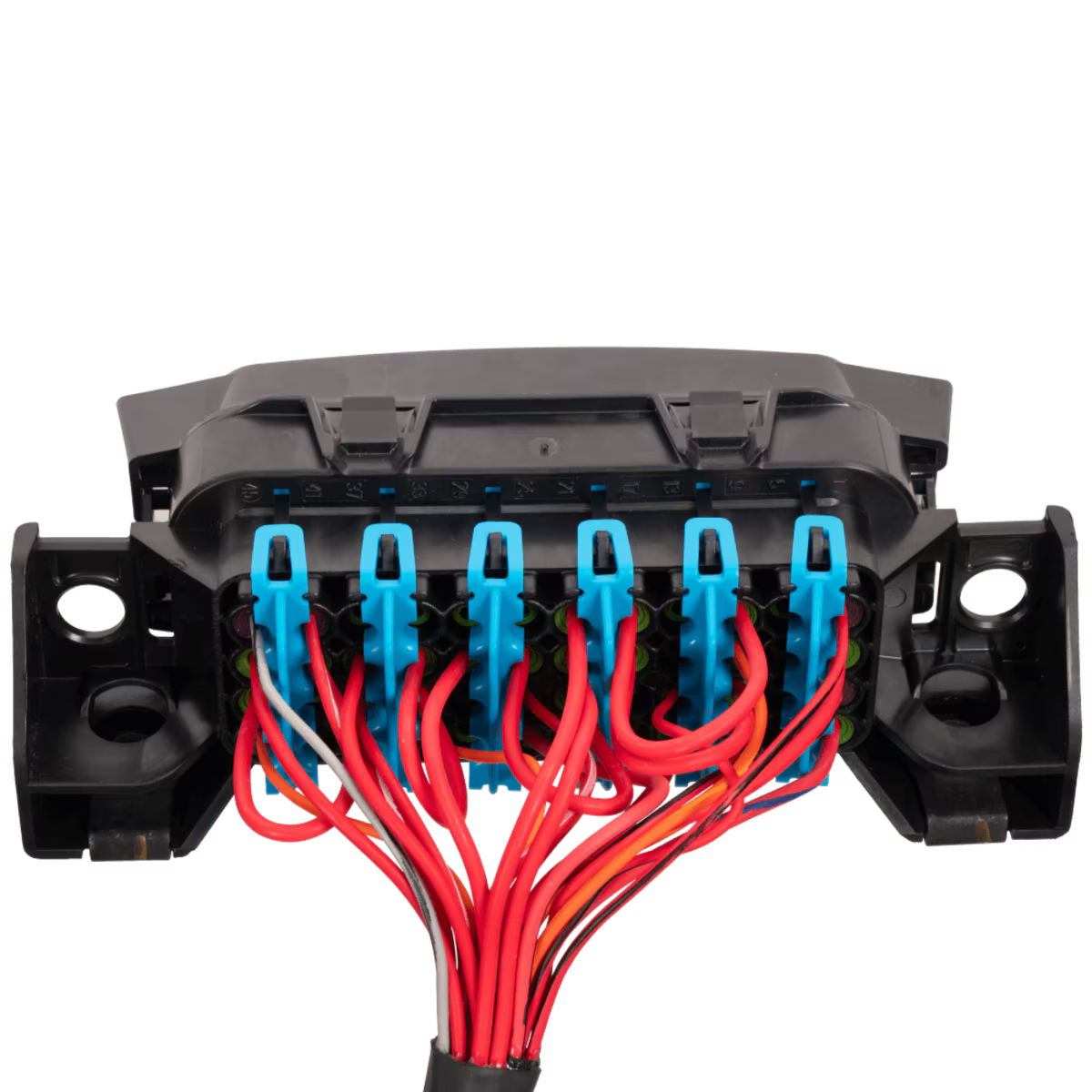 LINK ECU - LS Harness - Fuse and Relay Box
