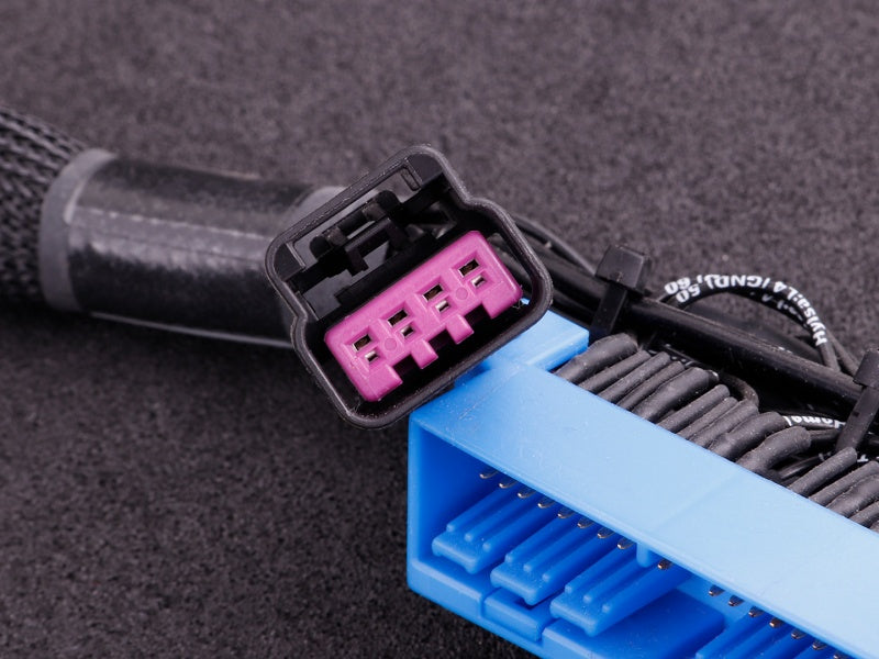 MaxxECU - Nissan Skyline GT-R R34 MaxxECU RACE Plugin