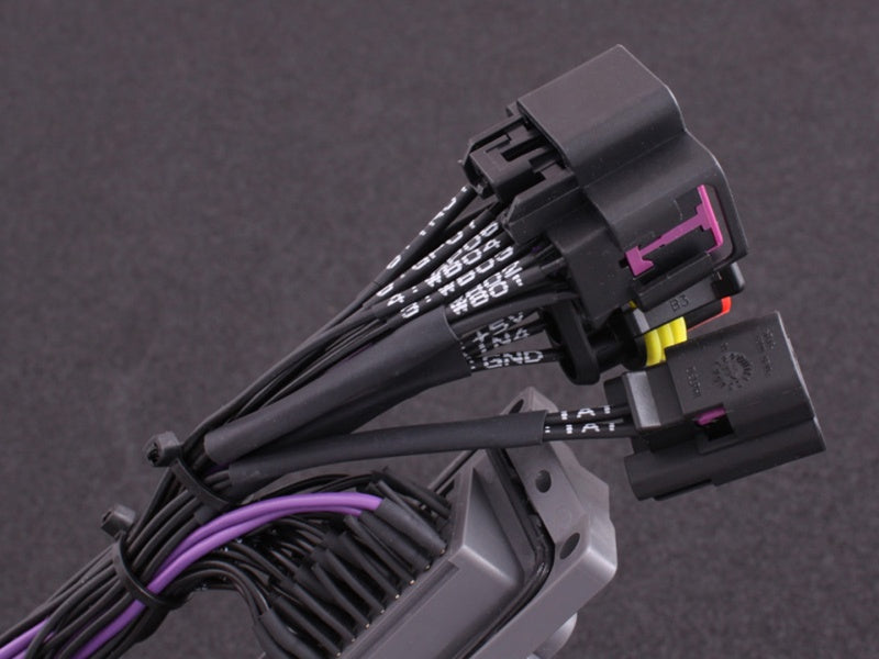 MaxxECU - Plugin adapter for Toyota Supra MKIV