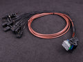 MaxxECU - PRO flying lead harness 3m connector 2 (EGT)
