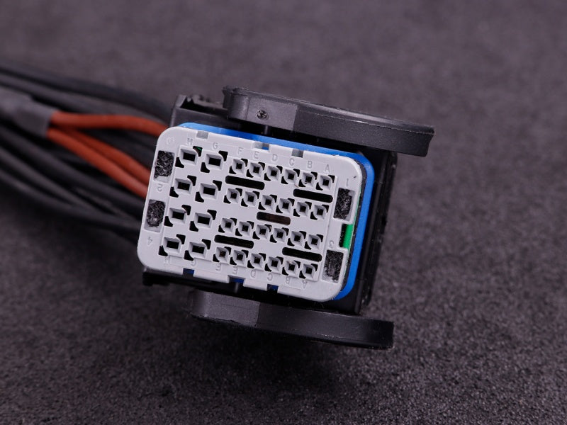 MaxxECU - PRO flying lead harness 3m connector 2 (EGT)
