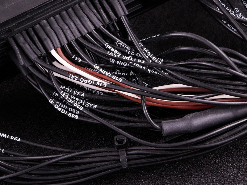 MaxxECU - PRO Plugin adapter - Mustang GT V8 2011 E-Throttle