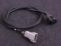 MaxxECU - WBO cables