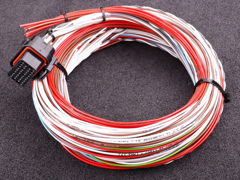 MaxxECU - GEN2 TRACK (REV2) cable harness 3
