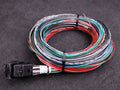 MaxxECU - V1/RACE/PRO flying lead wiring harness connector 1