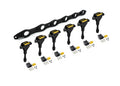 Haltech - R35 Coil Bracket Kit for Nissan RB Includes Bracket , Coils and connectors