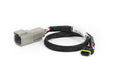 Haltech - CAN Adaptor Loom DTM-4 to Molex Mizu-P25 - Suits Holley