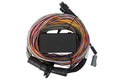 Haltech - Elite 550 & 750 Premium Universal Wire-in Harness Length: 2.5m (8')