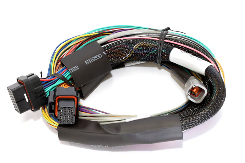 Haltech - Elite 2500 + Basic Universal Wire-in Harness Kit Length: 2.5m (8')