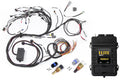 Haltech - Elite 2500 + Terminated Harness Kit for Nissan RB Engines (no ignition sub-harness, no CAS sub-harness)