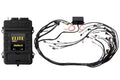 Haltech - Elite 2500 + GM GEN IV LSx (LS2/LS3 etc) non DBW Terminated Harness Kit (EV6)