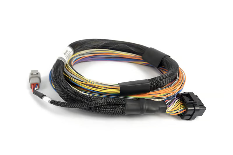 Haltech - Nexus T2 / T1 Basic Universal Wire-in Harness
