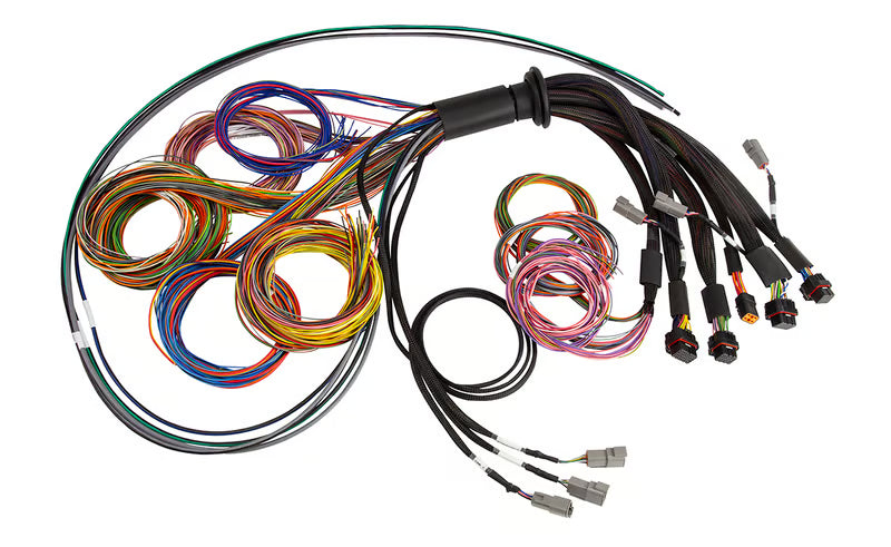 Haltech - NEXUS R5 Universal Wire-In harness