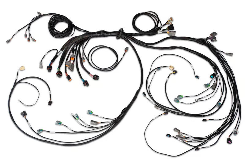 Haltech - Nexus R5 LSx DBW Terminated Harness - DBW ready