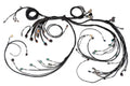 Haltech - Nexus R5 LSx DBW Terminated Harness - DBW ready
