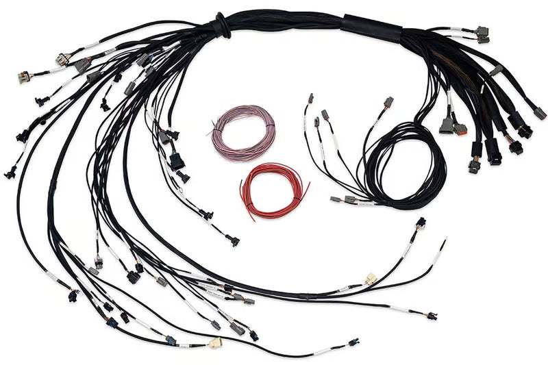 Haltech - Nexus R5 LSx Non DBW Terminated Harness