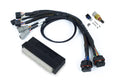 Haltech - Nexus S2/S3 Plug 'n' Play Adapter Harness Honda EP3