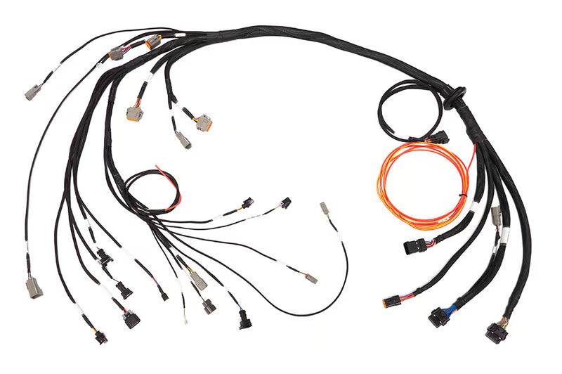 Wiring Harnesses & Looms