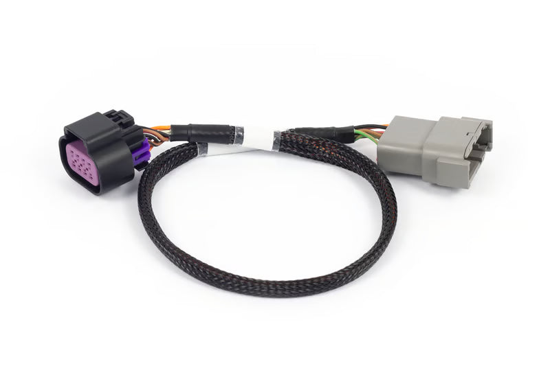 Haltech - Nexus Rebel LS - 8-pin DBW adaptor