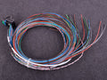 MaxxECU - MINI cable harness