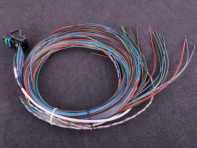 MaxxECU - MINI cable harness