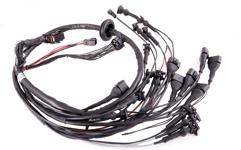 Harnais et câblage MaxxECU