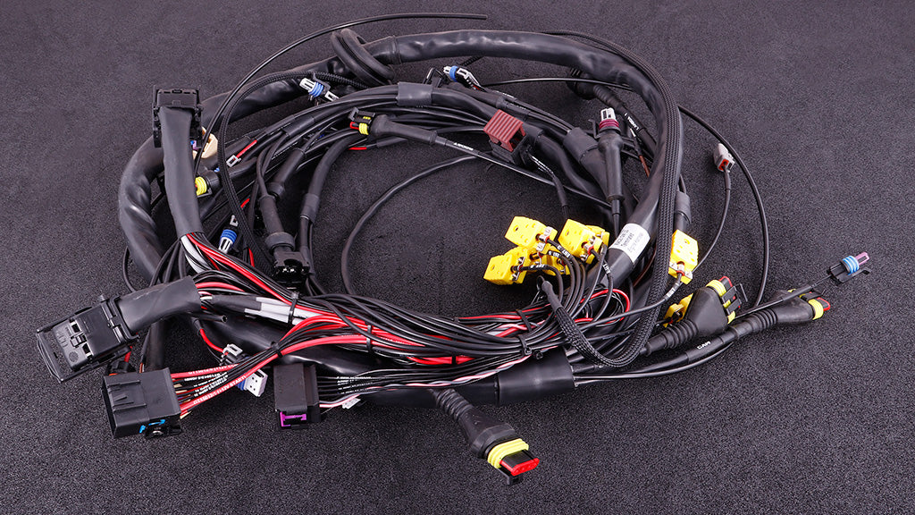 MaxxECU - GM LS terminated engine harness