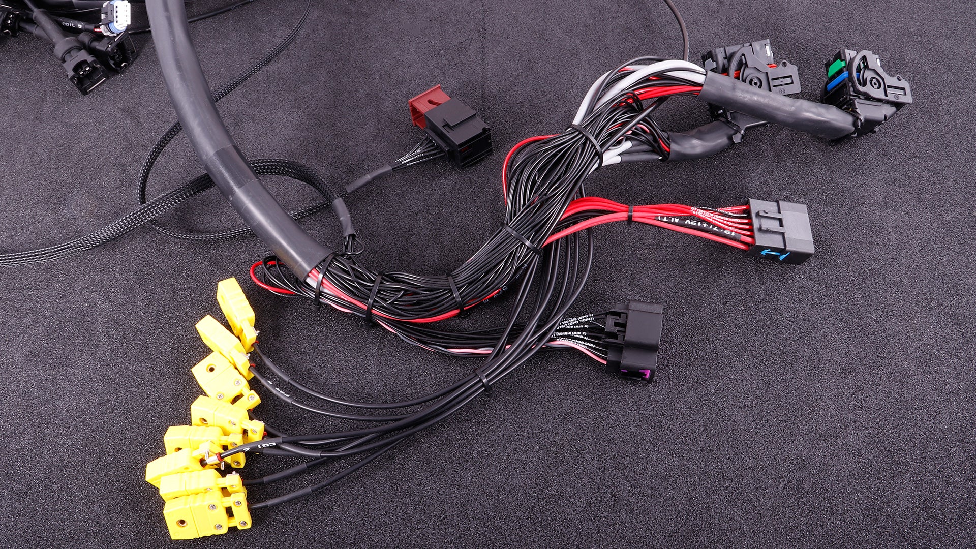 MaxxECU - GM LS terminated engine harness