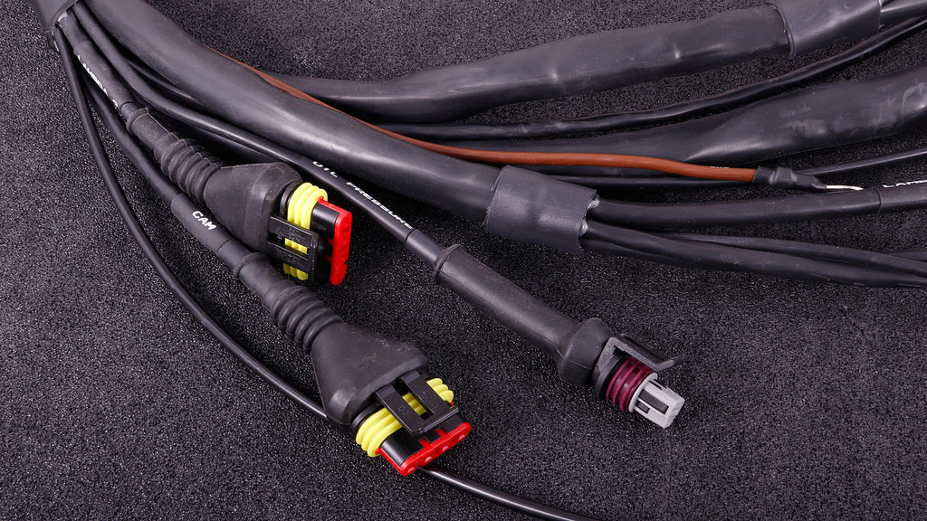 MaxxECU - GM LS terminated engine harness