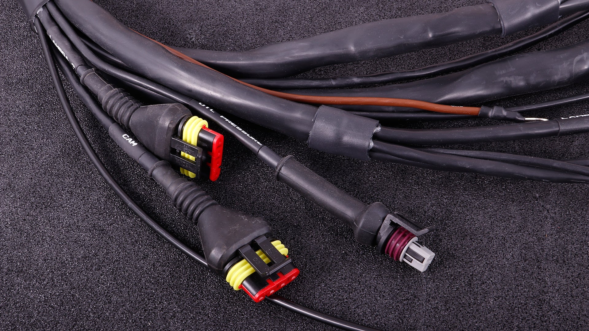 MaxxECU - GM LS terminated engine harness
