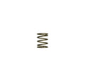 Turbosmart - GenV External Wastegate Springs (WG45 / WG50)