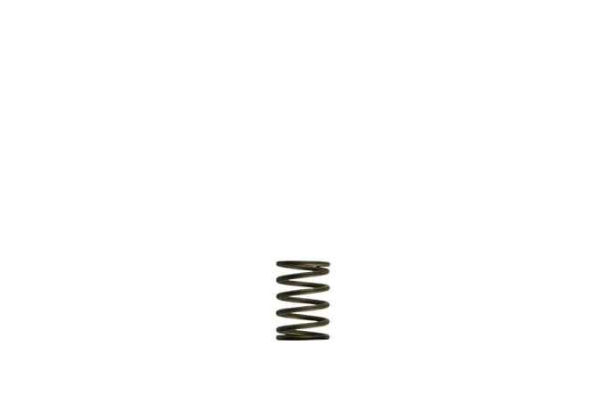 Turbosmart - GenV External Wastegate Springs (WG38 / WG40)
