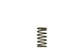 Turbosmart - GenV External Wastegate Springs (WG60)